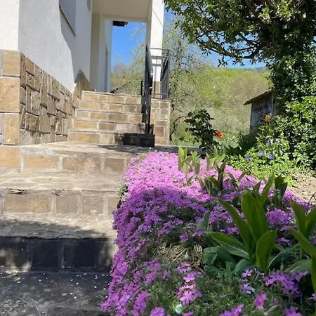 Villa Anchetata Aprilci