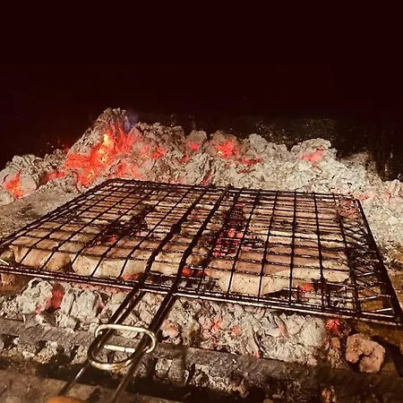 Anchetata Villa Aprilci