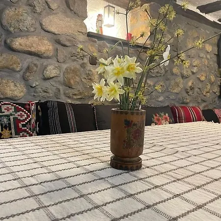 Anchetata *